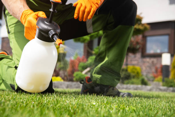 Best Flea Control Services  in Greenbrier, AR