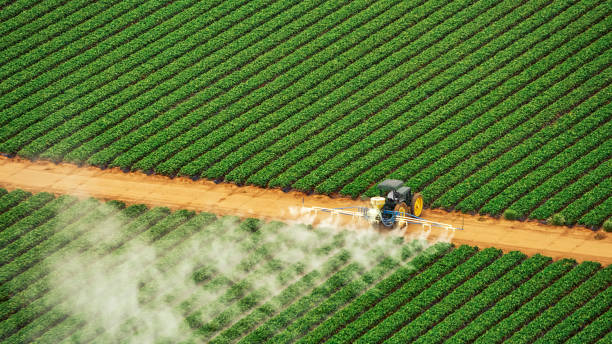 Insect Control in Greenbrier, AR